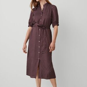 Ann Taylor Button Up Polka Dot Dress